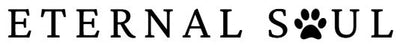 Eternal Soul